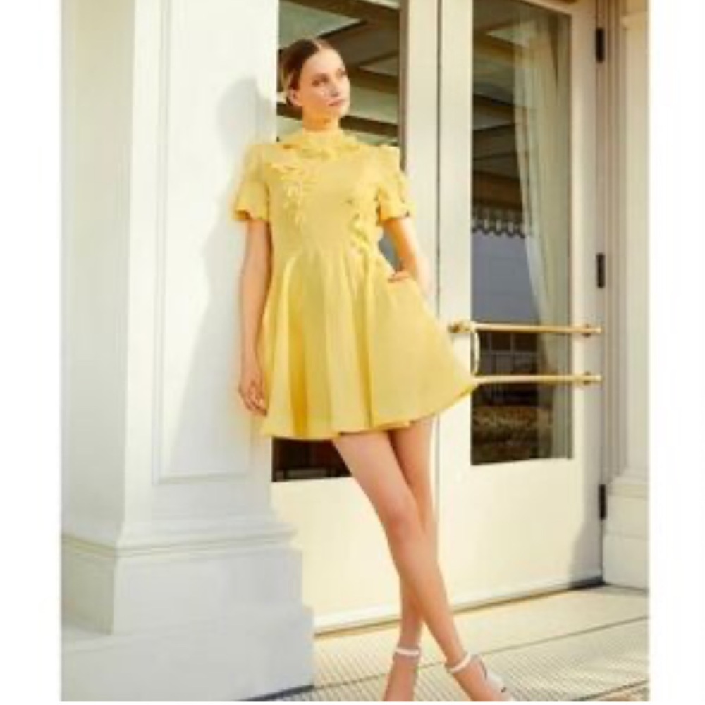 NWT Antonio Melani
Iris Linen Blend Floral Applique Mock Neck A-Line Mini Dress - Picture 2 of 10
